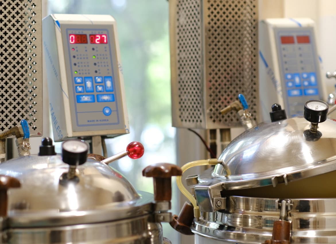 맞춤 한약 처방