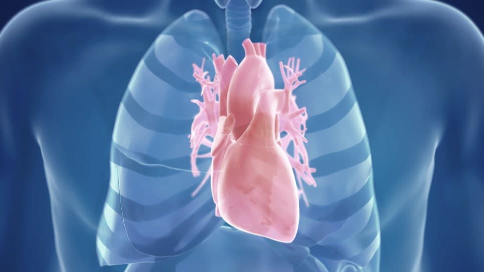 내 병도 혹시 스트레스 때문일까요?  심신병에 대하여 (心身病-psycosamatic disease-자율신경실조증,신경쇠약)