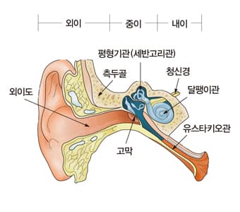 감기귀먹먹함, 왜 나만 오래 갈까요? 숨겨진 원인까지 풀어드립니다