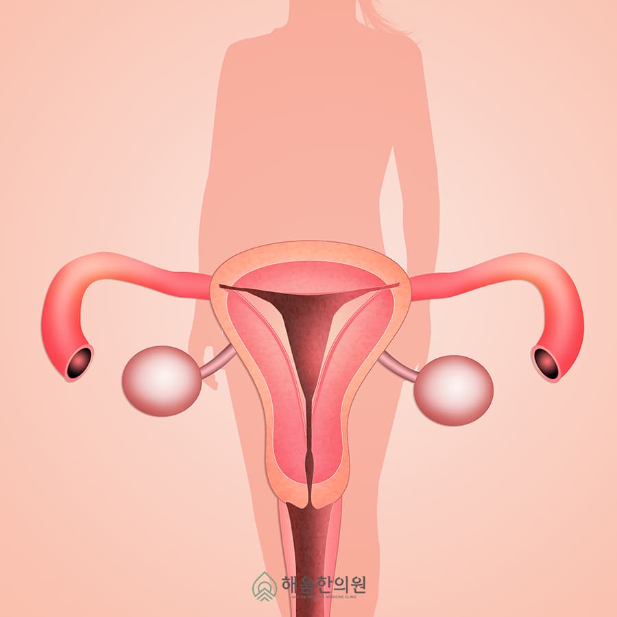 흰색냉 원인 질염 때문이라고? 정상과 이상, 제대로 구분하세요